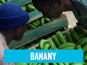 Banany Fairtrade