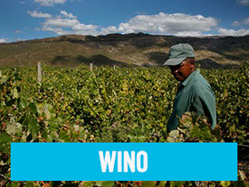 Wino Fairtrade