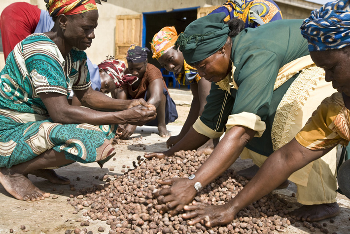 Kobiety ze spółdzielni Akoma produkującej masło shea w Ghanie
