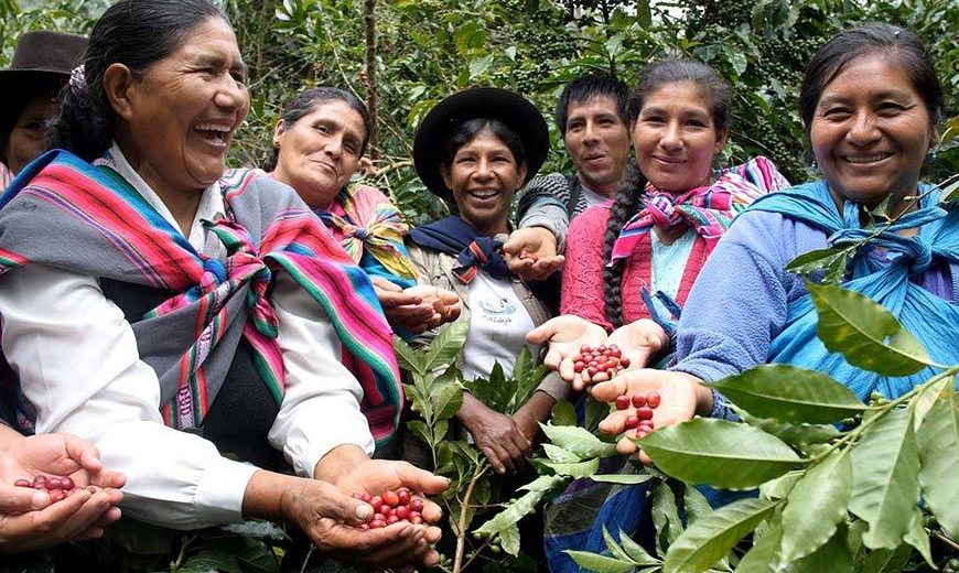 Producenci kawy ze spółdzielni Fairtrade Cooperativa Agraria Cafetalera Valle de Incahuasi, Peru. Fot. © CLAC