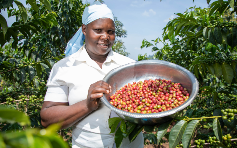 Kenya Coffee producers _Caroline Jepkogei Rono_Kapkiyai_fot_Nyokabi Kahura_www
