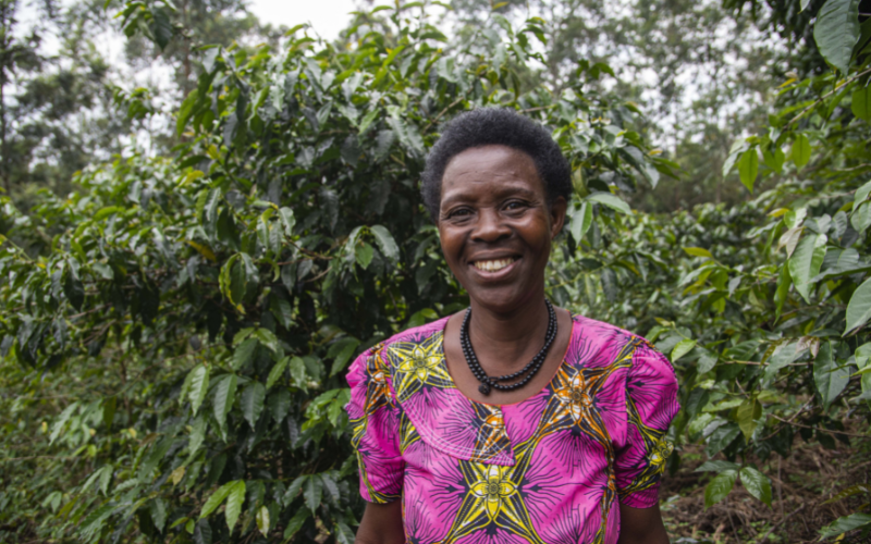 Niragire Serapia, rolniczka ze spółdzielni Maraba, Rwanda