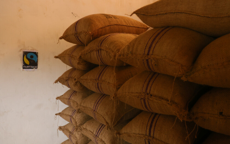 Worki z certyfikowanym ziarnem kakao Fairtrade