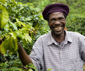 Producent kawy Fairtrade (Spółdzielnia SOPACDI) z Kongo © Fairtrade Zambia